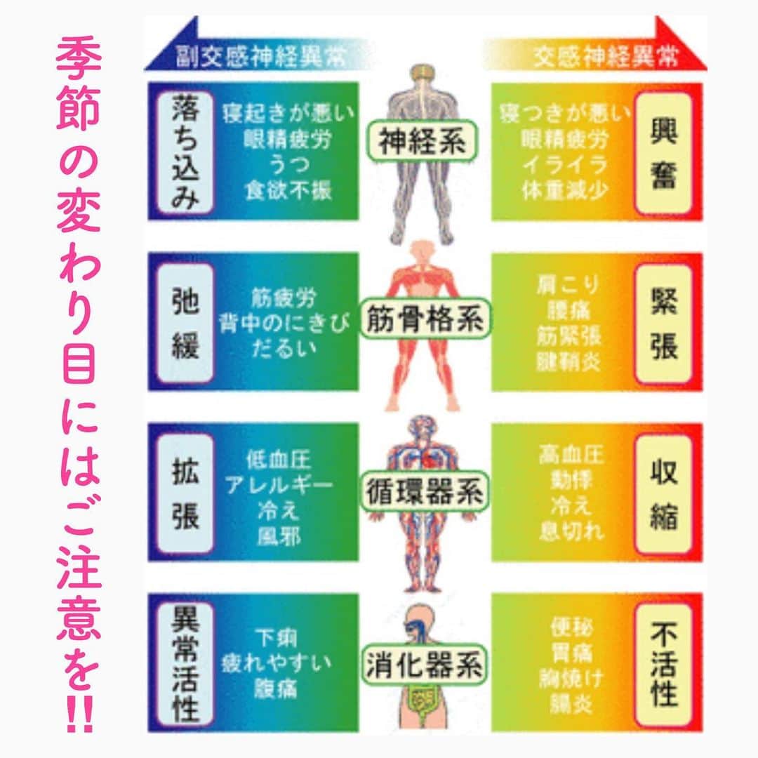 笑顔をリフォームする@健康小顔職人のインスタグラム：「． 秋が本領発揮してきましたね、笑。今年はいつまでも残暑が長かったので、急な秋の訪れに身体がなんだかついて行ってない…という人も多いのではないでしょうか？それは、自律神経バランスが崩れてしまっているからかもしれません。 ． 特に、秋は気温が下がるだけでなく、日照時間が短かく、曇りや雨が続くと副交感神経が優位になり、眠気が強くなったり、秋鬱を発症される方も少なくありません。 ． 私も以前は、春に比べて秋はメンタルが落ちていたことがあります。今は毎日楽しいので一年中元気に過ごしています🤗 ． そのコツは！ 毎瞬、幸せを実感してニコニコすること。身体を冷やさないこと。ご飯とお酒を美味しく頂くこと！です。どれ一つとして難しいことはありません。一喜一憂せずにマイペースにいきましょう！ ． 【コメント欄の追記】 症状により、自律神経バランスがどちらが優位になっているのかご自身で見極めることが大切です。例えば画像の循環器系を見てください。『冷え』がどちらにも該当します。体温や血圧が高くなって冷えているのか(例えば汗をかいて身体が冷えているのか？とか) or 身体が寒くて冷えているのか。それはご自身にしかわかりません。それによって対処の仕方が違うのでご自身の身体と向き合ってみてくださいね！ ． ． 沢山の幸せな笑顔が世界中に溢れますように✨ ． ． 🍀リフトアップクリーム&ボタニカルオイル ネットショップにて発売中 https://yushian.thebase.in/ baceアプリ→小顔職人で検索🔍 ． ． 💆🏻‍♀️心美体を整える「小顔整顔トリートメント」 👰ブライダル小顔🤰マタニティ小顔＆足リフレ ♨️代謝を上げる「Hot&Coldストーンリンパマッサージ」 ご予約はプロフ🔗→HP→予約サイトへ！ ． ． ✨気を整えて心と体を健康に！チャクラエネルギーセラピー ※Hペッパー等の予約サイトからは予約できません。ご予約は必ずホームページからお願いします(プロフ🔗) ． ． 💟あなたも小顔職人になれる👍 小顔職人養成スクール！スクール生募集中！詳細・お申込はプロフ→HP→小顔養成スクールへ！ ． ． #自律神経バランス#自律神経 #幸せはいつも自分が連れてくる #笑顔は世界を明るくする #皆んなでハッピーになろう #自分を愛そう #世界が愛で溢れますように #自然治癒力は素晴らしい  #健康な小顔になろう #体温を上げて代謝を上げよう #心身共に整ってこそ美容 #笑顔をリフォームする小顔職人 #いつもご覧頂きありがとうございます  #happylife #happiness #happysmile #health #Wellness #wellnessblogger #loveyourself」