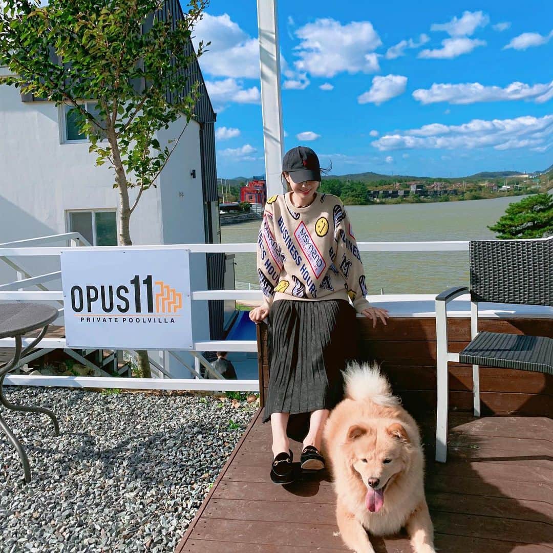 ギョンリ のインスタグラム：「경주 날씨도 좋고, 애견운동장 넘 조치 시로야🧚🏻‍♀️ 미끄럼틀 위에서 라이언킹이 따로없네 울 시로ㅠ_ㅠ @opus11__poolvilla」