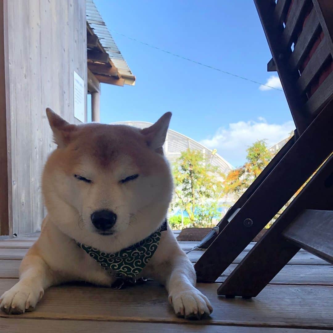 豆助左衛門（まめすけざえもん）のグルメインスタ