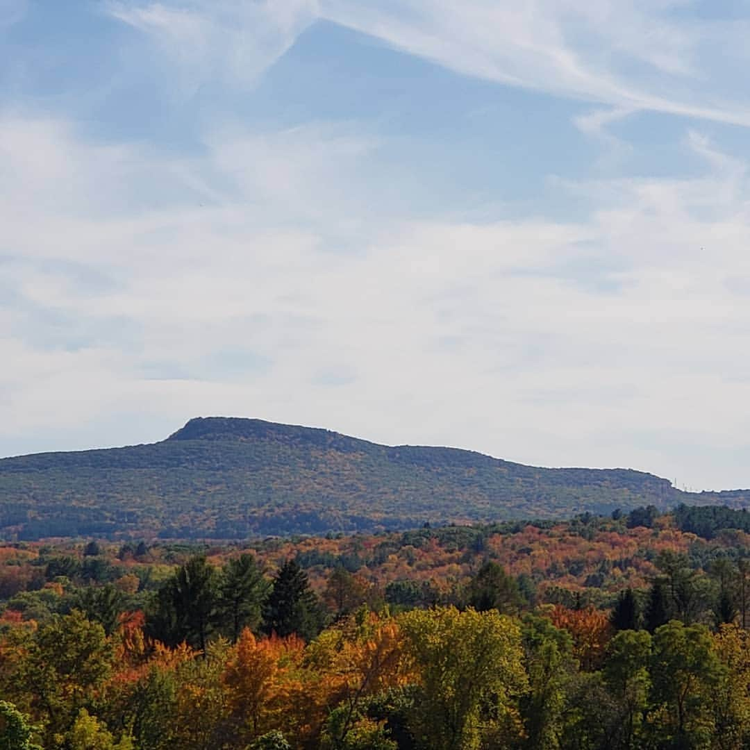 サラ・ジェシカ・パーカーさんのインスタグラム写真 - (サラ・ジェシカ・パーカーInstagram)「New England. Showing off its jewel tones and charm. We are happy to drive your highways, byways and scenic routes. X,SJ」10月14日 9時14分 - sarahjessicaparker