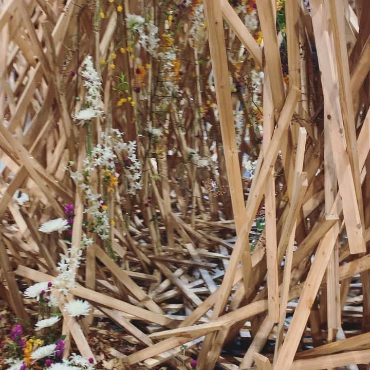 座間アキーバのインスタグラム：「nest 3.5m x 5m #akivazama #hanatombo #flowers #akivawoodwork」
