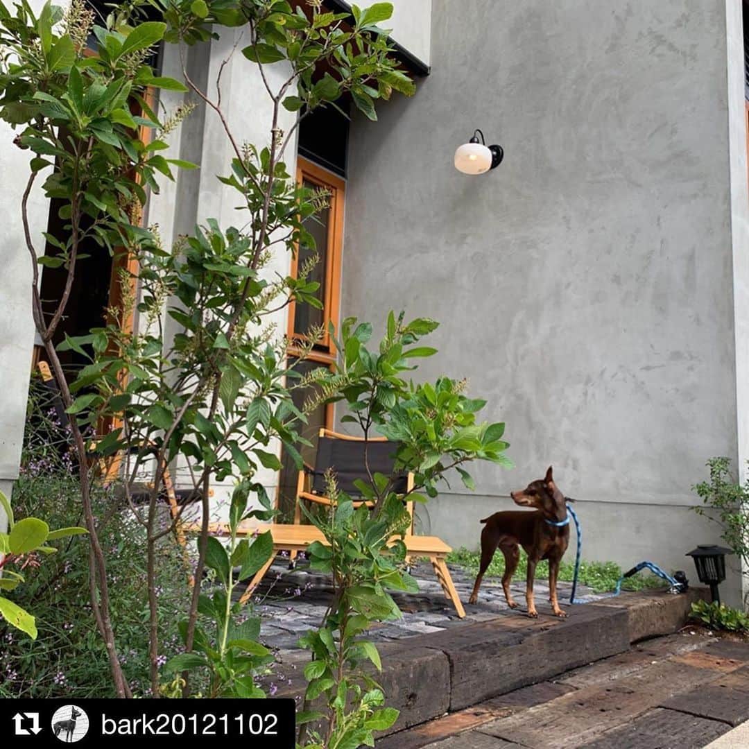 田中亜土夢のグルメインスタ