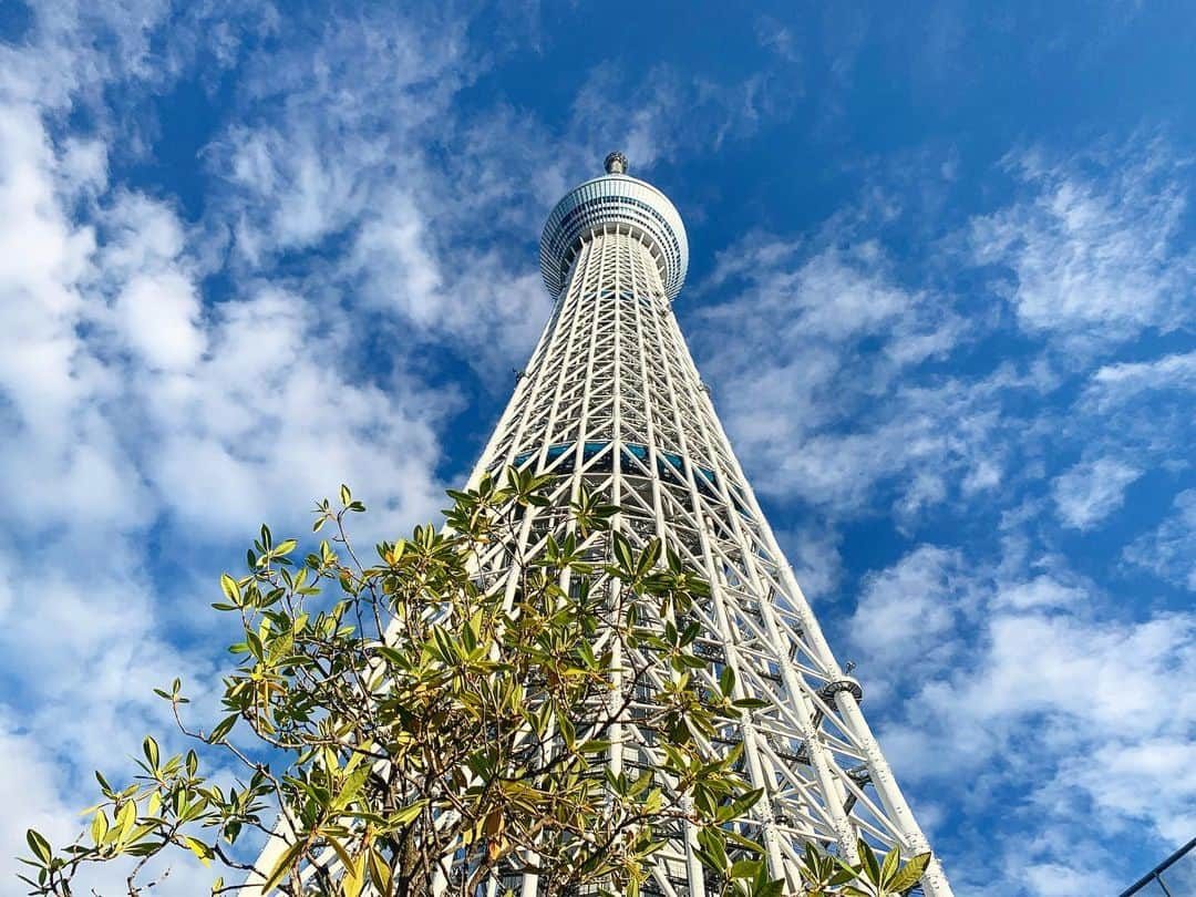 井上麻衣さんのインスタグラム写真 - (井上麻衣Instagram)「台風が過ぎ去った翌日 何事もなかったかのような青空でした。 . 👱🏼‍♂️は仕事に行ってしまったので 子供達とスカイツリーに❣️ 人が多くて結局上には登れなかった😂 . . . #instagood #instagramer  #goodlife #family #mama #holiday #skytree #tokyo #休日 #スカイツリー #3枚目は娘がカメラマン 📸 #綺麗でびっくりした #台風の翌日 #無事でよかった #ママ #2児ママ #ママコーデ #ファッション」10月14日 17時08分 - mai_inoue