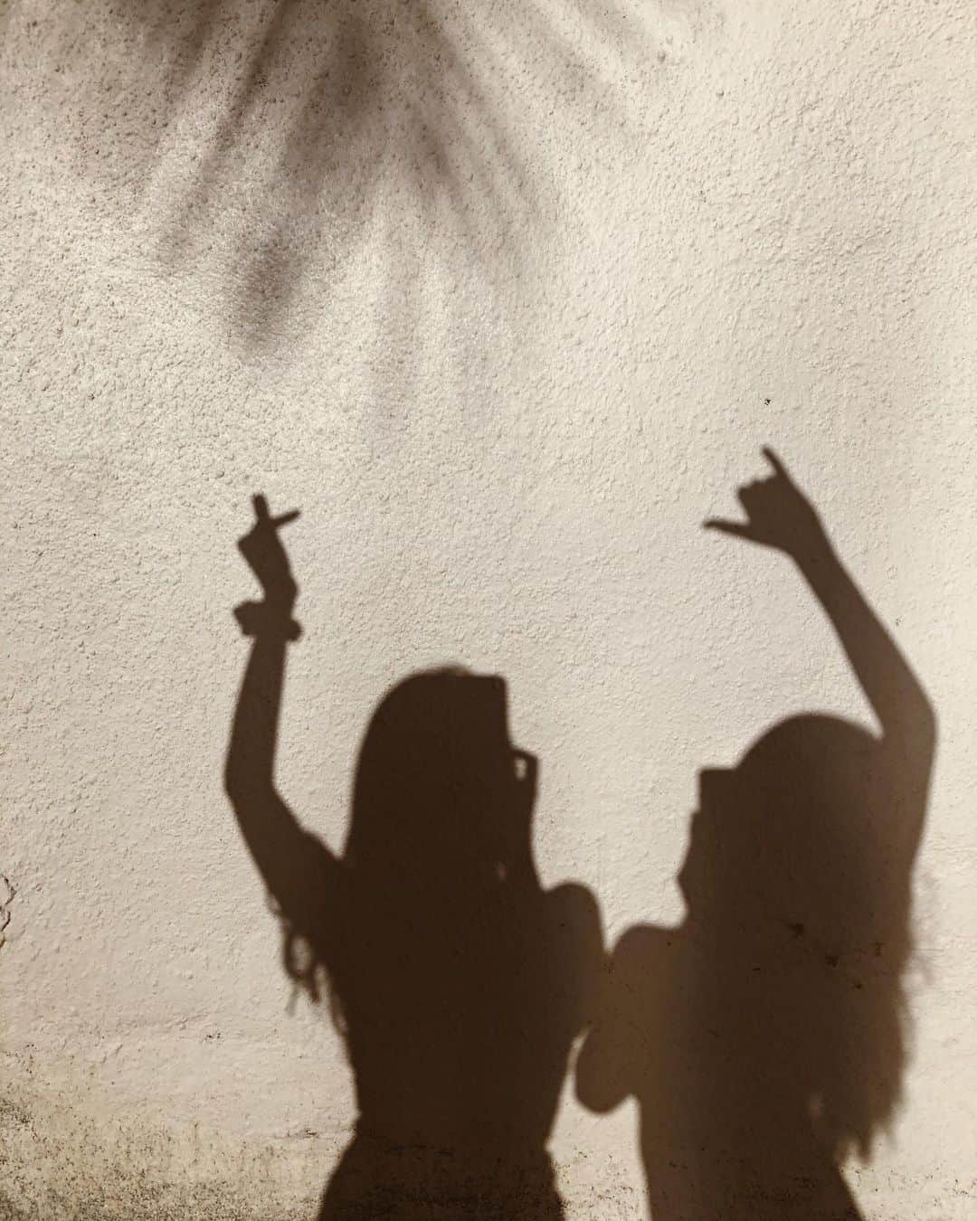 Tamikoのインスタグラム：「🌴🐒🐒」