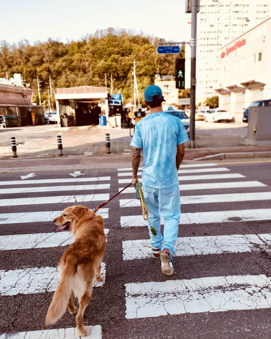 ダリ さんのインスタグラム写真 - (ダリ Instagram)「Dog Is Love🦮🚶‍♂️」10月14日 9時50分 - daridentity