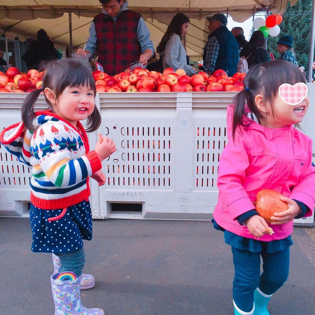 栗山麗美さんのインスタグラム写真 - (栗山麗美Instagram)「🍎Apple Picking🍏 ・ #kiyokawafamilyorchards に3家族で行ってきました☺️ ・ 30種類以上の林檎や梨が栽培されていて、中が赤い珍しいものなど初めての🍏にも出会えました😳✨ ・ 数日前から楽しみにしていた娘は、 初めて自分で採った瞬間ニッコリとっても嬉しそうな笑顔😆✨（写真2枚目） ２歳の娘には林檎1つでもずっしり重いようで両手で一生懸命抱える姿にほっこり🥰 ・ 定番のホットアップルサイダーとアップルサイダードーナッツも美味でした🤤💕 ・ ・ #applepicking #U-pikck #apple #kiyokawafamilyorchards #mthoodfruit #oregon #portland #アメリカ暮らし #ポートランド生活 #ポートランド #林檎狩り #りんご #アメリカ子育て #アメリカ育児 #🍎 #🍏」10月14日 10時48分 - reimi.kuriyama