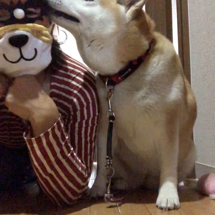 こなつのインスタグラム