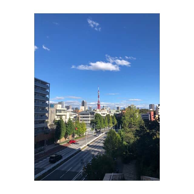 秋元玲奈さんのインスタグラム写真 - (秋元玲奈Instagram)「昨日は台風が嘘のような、晴天。 これ以上、被害が拡大しませんように。  やっと外に出られて大興奮の息子 。階段があるとどこでも上ってしまう。そしてなかなか戻ってくれない😅 #前に進まない散歩 #寄り道大好き」10月14日 12時16分 - rena_akimoto