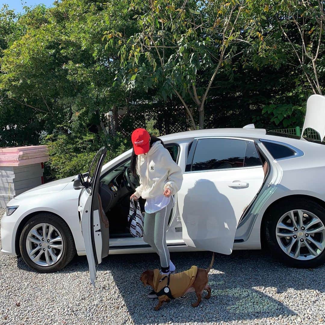 Son Ju Heeさんのインスタグラム写真 - (Son Ju HeeInstagram)「방구쟁이 달식이 보고싶다앙🐶 . . #리샵 #지두고집에갈까봐차에먼저타있는김달식이 #쫄보에겁쟁이김달식이 #하루종일찡찡이김달식이 #그래두넌사랑이야김달식이💕」10月14日 13時21分 - juhee__ss