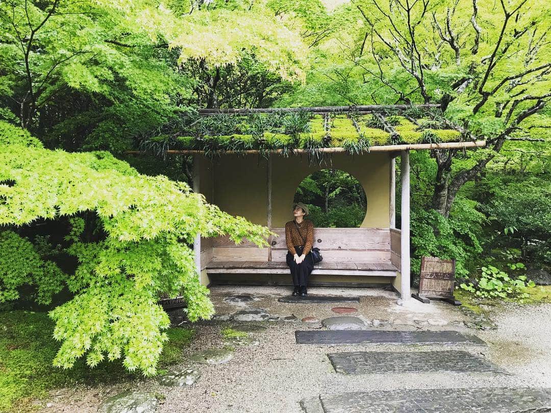 千眼美子さんのインスタグラム写真 - (千眼美子Instagram)「・ パワートゥーザ緑」10月14日 18時46分 - yoshiko_sengen