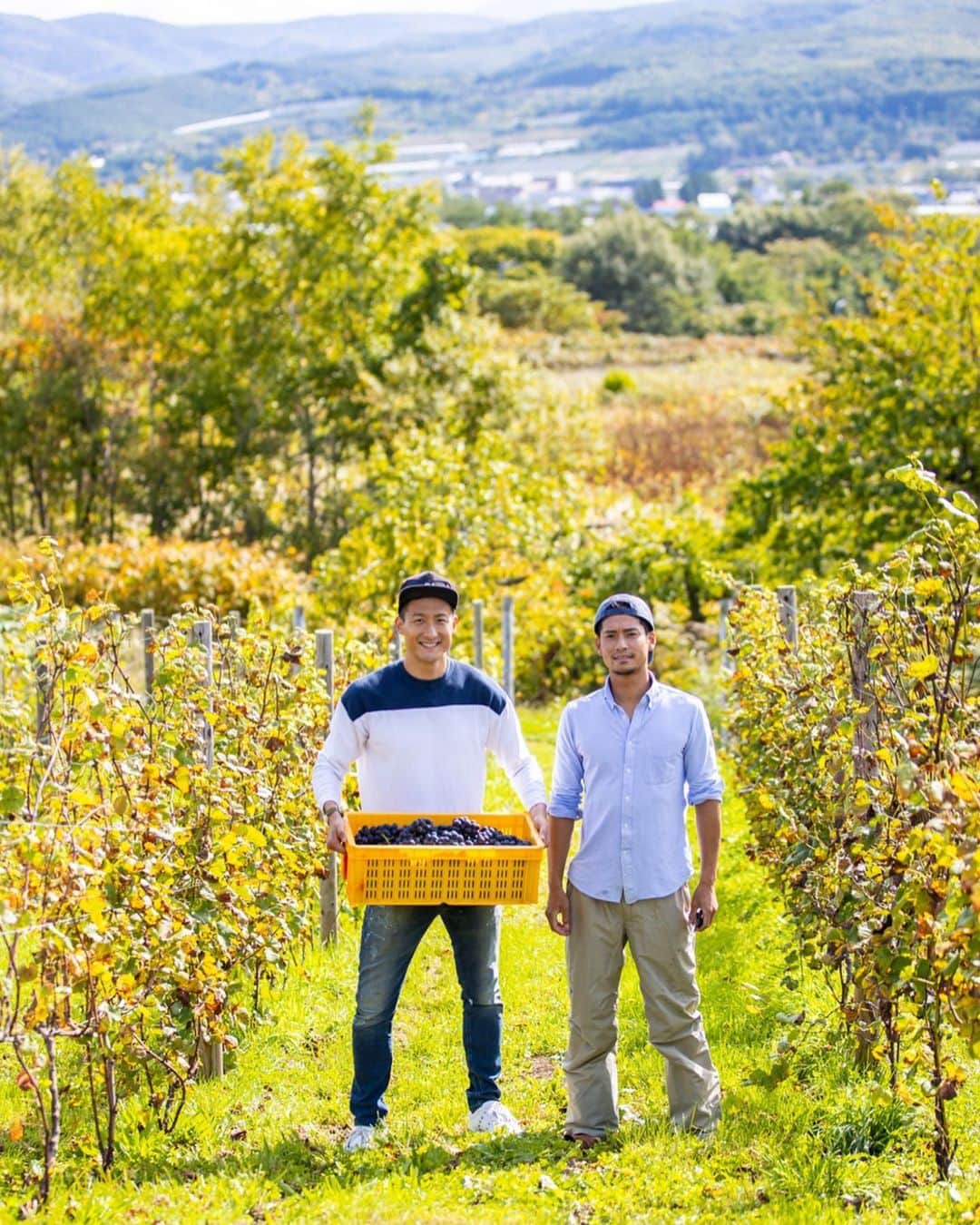 都倉賢のインスタグラム：「【Tokura winery】  北海道仁木町にある都倉ワイナリーに来年の2月リリース予定のワインを仕込みに行ってきました！  昨年農業法人を設立してから色々な方に支えられてようやくここまでくる事が出来ました。  今年の5月に都倉ワイナリーに苗植えしたブドウは３年後以降の収穫となるため今年はワインを造るためのブドウを購入しワイン造りをします。ブドウの品種は食用ブドウのキャンベルとナイアガラを仕入れてロゼのスパークリングワインを造ります。 【なぜロゼのスパークリングワインにしたのか？！】 理由としては、まずなんと言っても個人的にとにかく泡が好きだからです。  それと色々と構想している時期に怪我をしてしまって、復帰に向けて頑張っていこうと言う思いから生まれた　#返り咲きカウントダウン　プロジェクトとリンクしたいなという思いから、桜が満開に咲くイメージと　#返り咲きカウントダウン　のイメージが凄く自分の中でリンクしてピンクのロゼを造る事にしました！  頑張るモチベーションだったり、応援する時だったり、気合入れる時だったり、何かを達成した時だったり、シャンパンファイトの時だったり、お祝い事だったり、食前の一杯目だったり、泡は幅広いシーンで飲めるのにも関わらず、特別な感じがあるそんな存在です。  また僕自身怪我をした事で今までと違った景色を知ることが出来ました。  色々な人が復帰に向けてなんらかの課題を抱えている現状を知り、みんなで希望を持ちながら頑張っていける、そんな１つのきっかけにこのワインがなったら嬉しいです。  それと同時にそれを支えていたり応援している人達もお祝いに飲めるような、このワインがそんな皆んなを繋ぐ存在になれるように！そんな思いを持ってワイン造りをしていくぞ！  どんな出来栄えになるかわからないけど、もちろんベストを尽くしてパートナーと協力してやっていくだけ！かっこつける事なく、泥臭く、サッカーから学んできた『失敗をどうやって成長につなげていくか』そんな精神を大切にワイン造りもしていけたらと思ってます。  パートナーの金田　@hiroakinta_wine_maker と出会ってここまで突っ走ってきました！そもそも彼がアクションを起こしてくれたから会う事が出来なかったし、彼がいなければワイナリーをやる事なんて夢も叶わなかったし、本当に感謝しても仕切れない。  もちろんこれから良いことだけではないし、綺麗事ではすまない世界だけど、助け合って、手を取り合って、お互いが成長していけたらと思う！  近々都倉ワイナリーからクラウドファウンディングの報告も出来そうです！お楽しみに！  先行販売も兼ねてリターンとしてワインを用意しているので興味のある方らまたクラファンから宜しくお願いします！！！ 最後に先日一緒に仕込みを手伝ってくれた皆さん本当に有難うございました^ ^  また色々と一緒に宜しくお願いします！！！ そして今いつも愛のある写真を有難うございます！ photo by @bluecolor0411」
