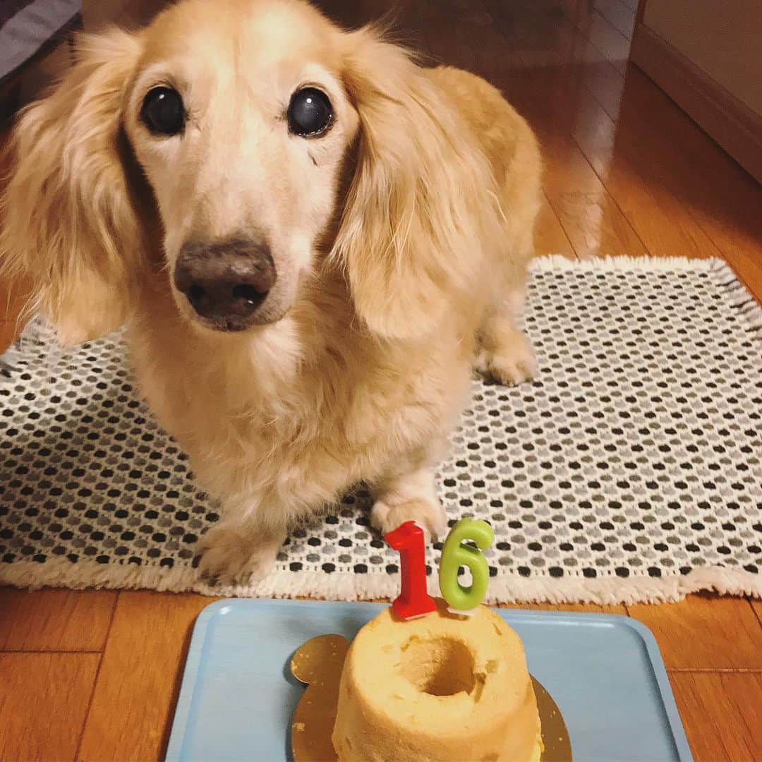 大石参月のグルメインスタ