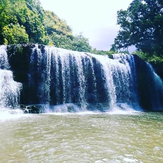 グアム政府観光局さんのインスタグラム写真 - (グアム政府観光局Instagram)「グアム最大の滝、タロフォフォの滝で一休み。マイナスイオンが気持ちいいです😎  タロフォフォの滝はグアムの南部に位置しているのですが、グアム南部は大自然の宝庫🤩 ドライブしながら、南側の綺麗な景色を発掘するのも素敵ですね！ ・ ・ ・ #グアム #滝 #タロフォフォ #自然 #景色 #ロープウェイ #ドライブ #旅 #綺麗 #instaguam #guam #travel #trip」10月14日 20時24分 - visitguam_jp