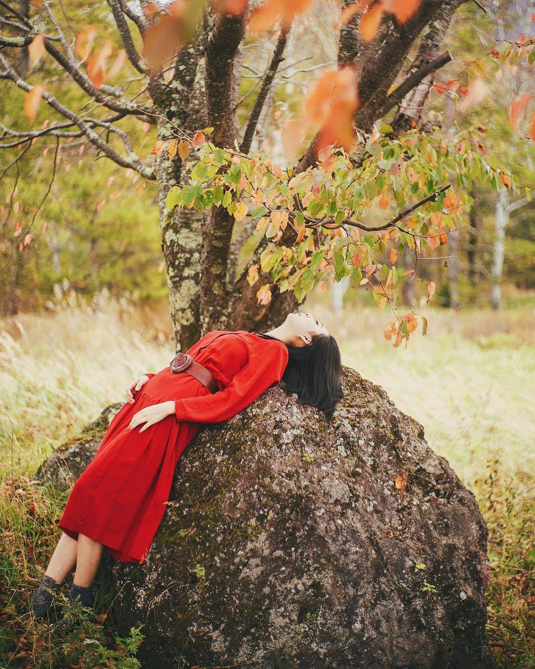 haru wagnusさんのインスタグラム写真 - (haru wagnusInstagram)「Fall in love 🍁 ㅤㅤㅤㅤㅤㅤㅤㅤㅤㅤㅤㅤㅤ ㅤㅤㅤㅤㅤㅤㅤㅤㅤㅤㅤㅤㅤ  秋の光が好き過ぎて、早く写真を撮りに行きたいんだよね。撮影に誘ってください🍁 ㅤㅤㅤㅤㅤㅤㅤㅤㅤㅤㅤㅤㅤ ㅤㅤㅤㅤㅤㅤㅤㅤㅤㅤㅤㅤㅤ #autumn #fall #秋 #optonsonnar50mmt」10月14日 22時54分 - wagnus