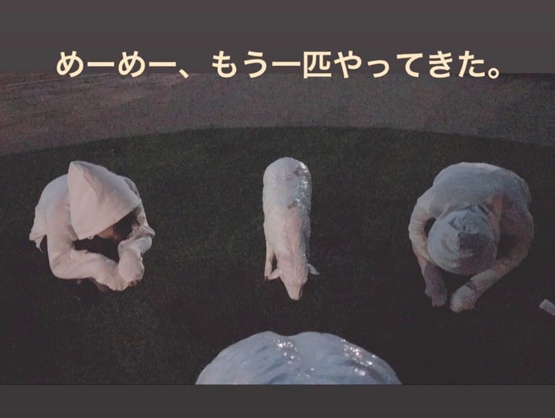 長谷川萌美さんのインスタグラム写真 - (長谷川萌美Instagram)「. 北海道2日目の続き  #札幌 #旭川 から札幌 へ戻りました SAにて羊さん🐑🌙✨ . 翌朝、北海道 3日目 待ち合わせに早く行き朝アイス🍨☺︎☀️ . そして  #HMV札幌ステラプレイス さんと  #ラソラ札幌 さんにて歌わせて頂きました！🎤🎵お越しくださった方、一緒に歌ってくださったり楽しかったです！ありがとうございました♡ .  #音楽処 さんにご挨拶させて頂きました☺️💕 #ビタスイ がんばります！ .  #エゾシカ #スープカレー 淡白で美味しかった😋❤️ .  #ビタスイ #北海道 #ツアー #朝アイス #羊 #リリースイベント #リリイベ #遠ラブ #live #ライブ」10月14日 23時08分 - moemi_hasegawa