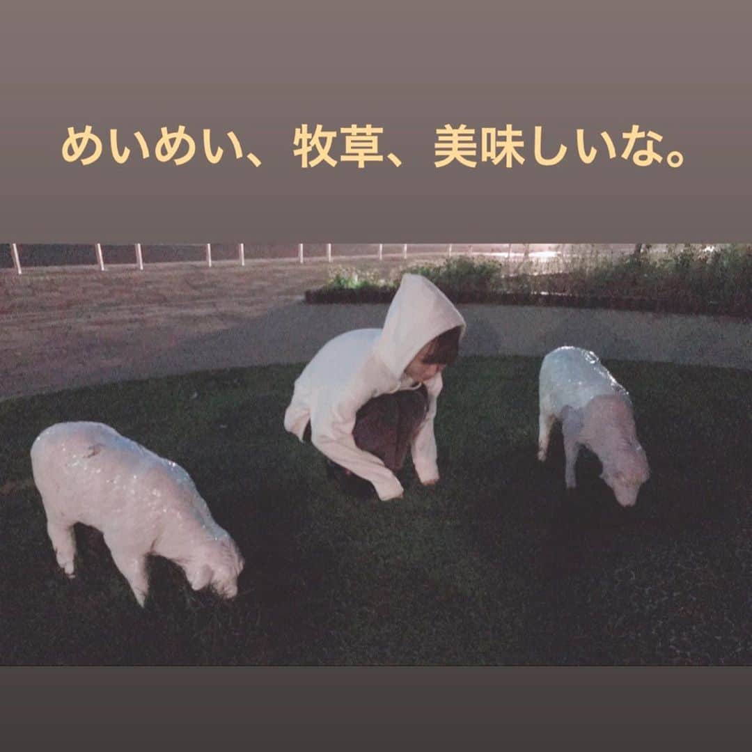 長谷川萌美さんのインスタグラム写真 - (長谷川萌美Instagram)「. 北海道2日目の続き  #札幌 #旭川 から札幌 へ戻りました SAにて羊さん🐑🌙✨ . 翌朝、北海道 3日目 待ち合わせに早く行き朝アイス🍨☺︎☀️ . そして  #HMV札幌ステラプレイス さんと  #ラソラ札幌 さんにて歌わせて頂きました！🎤🎵お越しくださった方、一緒に歌ってくださったり楽しかったです！ありがとうございました♡ .  #音楽処 さんにご挨拶させて頂きました☺️💕 #ビタスイ がんばります！ .  #エゾシカ #スープカレー 淡白で美味しかった😋❤️ .  #ビタスイ #北海道 #ツアー #朝アイス #羊 #リリースイベント #リリイベ #遠ラブ #live #ライブ」10月14日 23時08分 - moemi_hasegawa