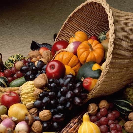 ローレン・ホリーさんのインスタグラム写真 - (ローレン・ホリーInstagram)「“If you are really thankful, what do you do? You share.” – W. Clement Stone Happy Thanksgiving 🇨🇦」10月14日 23時40分 - laurenholly