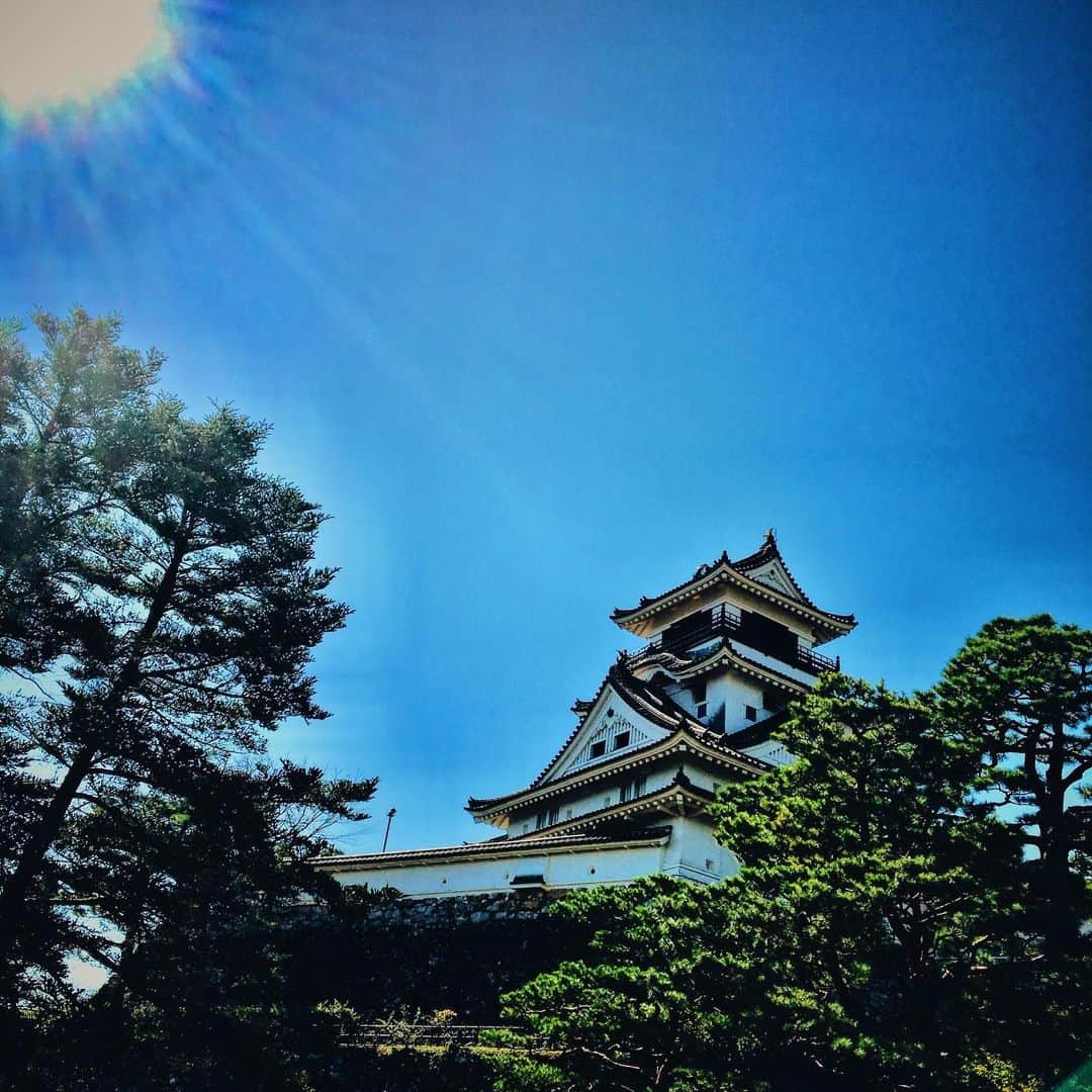 西田一紀のインスタグラム：「高知城。  #かずさんぽ」