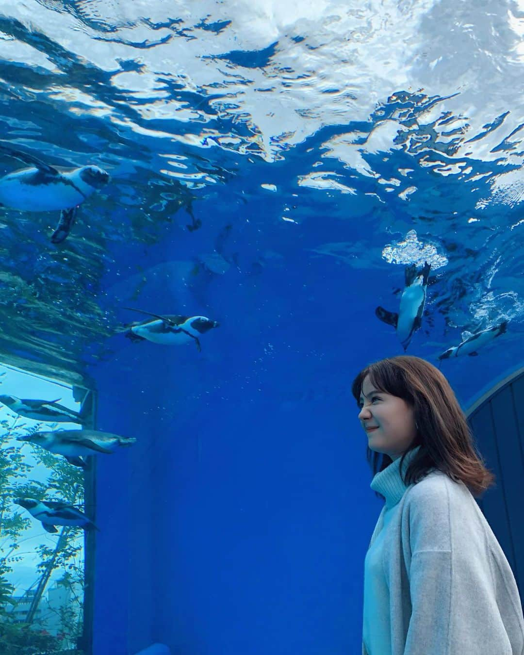 トリンドル玲奈さんのインスタグラム写真 - (トリンドル玲奈Instagram)「朝から水族館にて撮影🐧  午後も頑張っていきましょう!✊❤︎」10月15日 11時56分 - toritori0123