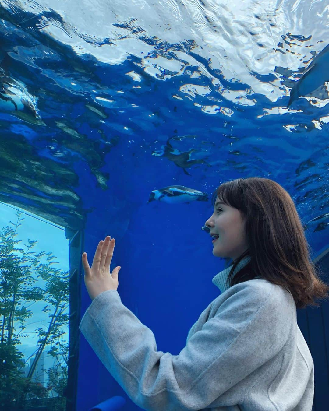 トリンドル玲奈さんのインスタグラム写真 - (トリンドル玲奈Instagram)「朝から水族館にて撮影🐧  午後も頑張っていきましょう!✊❤︎」10月15日 11時56分 - toritori0123