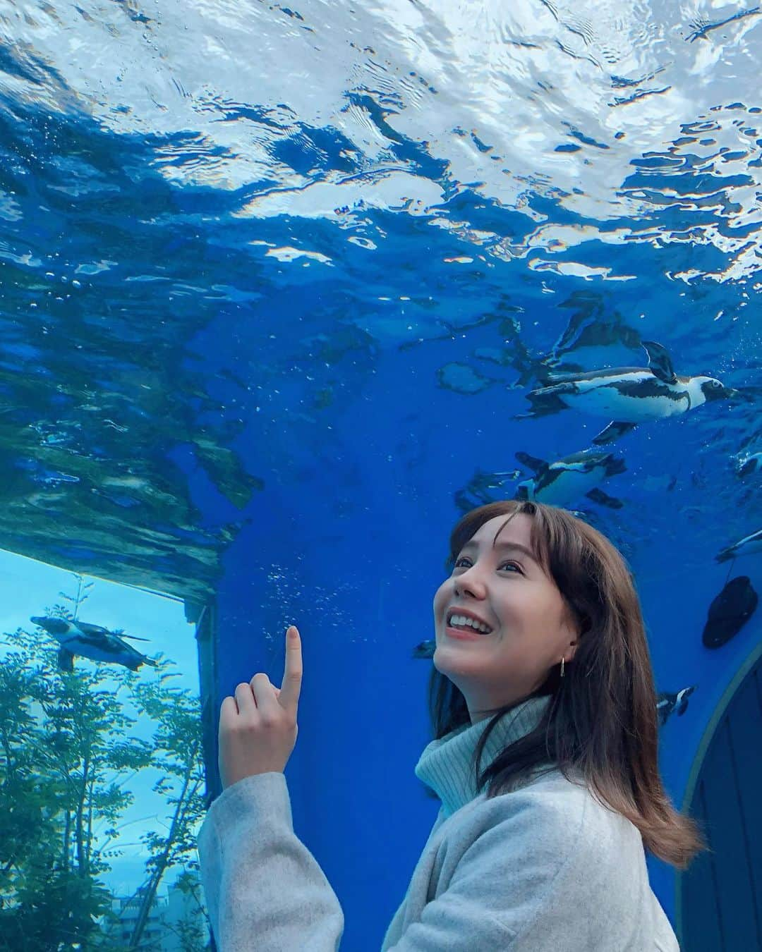 トリンドル玲奈さんのインスタグラム写真 - (トリンドル玲奈Instagram)「朝から水族館にて撮影🐧  午後も頑張っていきましょう!✊❤︎」10月15日 11時56分 - toritori0123