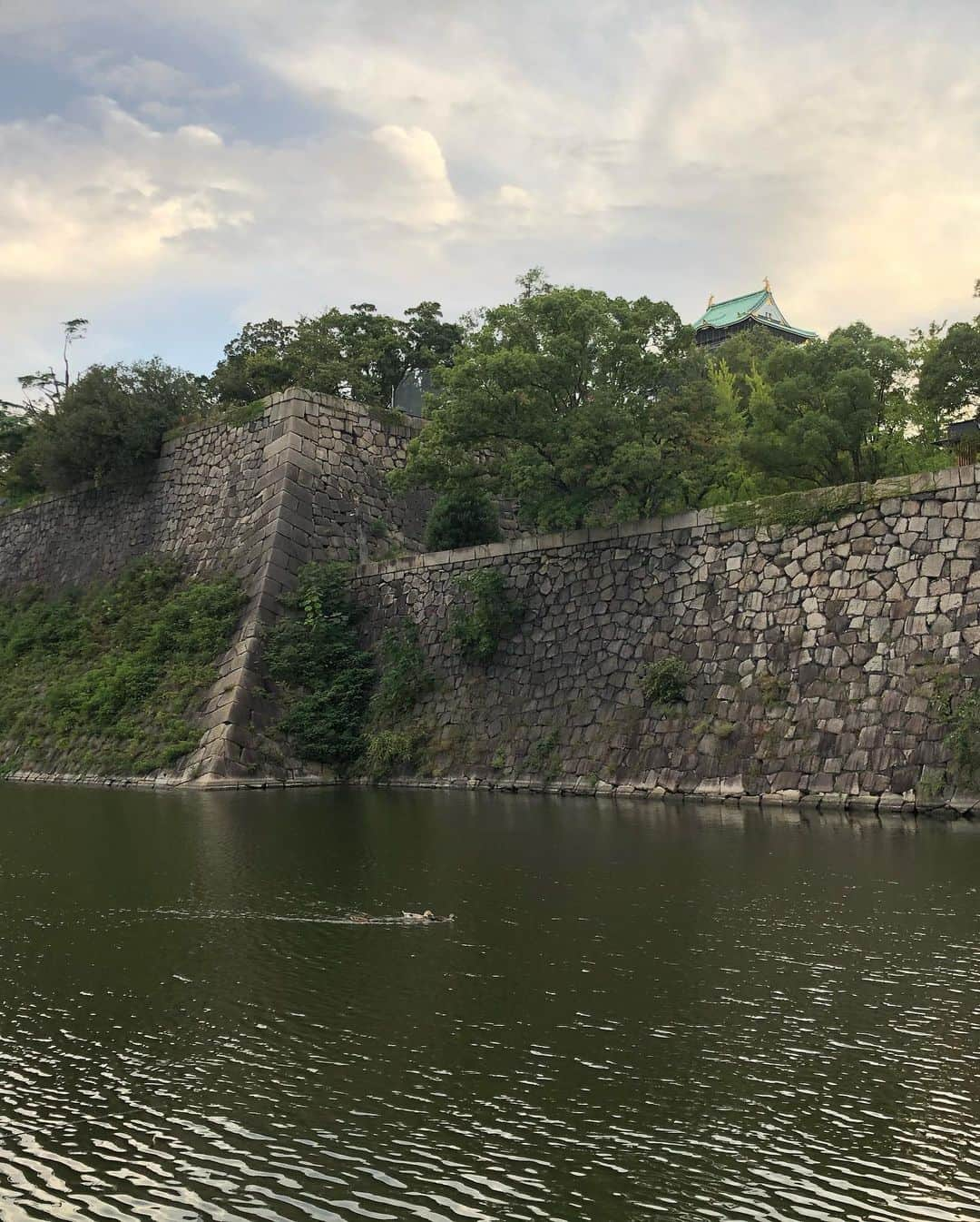 凰津りささんのインスタグラム写真 - (凰津りさInstagram)「徳川大阪城🏯 . . 大阪城は知れば知るほど奥が深く、私みたいに浅はかな歴史好きと語る奴はスゴーィ✨ しか言うことが出来ないけど、、、 . . やっぱり、 スゴーィ✨ . . 笑 . 今回は淀の方と秀頼が自刃した山里曲輪を目的に参りました🏯 . . 遠目から見ると小さい石の集まりに見える石垣がなんともまぁ大きいこと大きいこと‼️ . . 各藩こぞって巨石を用いて築城したと思うと、当時の電気も車もない時代に巨石を運ぶとか凄すぎる💦 . たいちゃんが最近購入した #大阪城を極める という本。 . 私も読みましたが極めきれないくらい難しい、、、笑 本を片手に縄張りを確認しながら現地へ赴かねば何も理解できない。 しかも‼️ 一日じゃ終わらないであろう。。。 . . 大阪城の偉大さ、、 なんたるやー❤️ . 個人的には徳川大阪城より豊臣大阪城の方が好きなので、、、 いつか夢でもいいから天王寺くらいまで使って大改修してほしい✨ ↑これはホンマに無理な話 . . 利直よ、 お前の耳に入る言葉の4分の1は確実に歴史の話になるな。。。 極めるのだぞ‼️ . . #大阪城 #徳川大阪城 #巨石 #石垣 #蛸石 上から見たら思っている以上に薄いww こーゆーのがまた面白い」10月15日 12時27分 - outsu.risa95