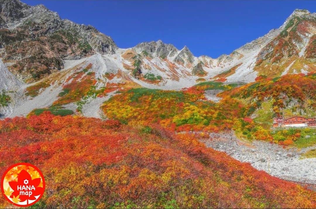 はなまっぷ❁日本の花風景さんのインスタグラム写真 - (はなまっぷ❁日本の花風景Instagram)「🍂🍁はなまっぷの紅葉まつり🍁🍂 * @hasegawa_satoshi1984 さんの 紅葉に花まるを💮 * 色とりどりに染まる美しい日本の秋をありがとうございます😊🍁🍂 * 長野　#涸沢カール Karasawa Cirque, Nagano Pref. * 見頃を過ぎている場所もご紹介しています。 お出かけの際はHP等で最新の情報をご確認くださいね🙏🍁 * 🍁•••🍂•••🍁•••🍂•••🍁•••🍂 * 🍂🍁はなまっぷの紅葉まつり🍁🍂 〜紅葉の季節が終わる頃まで #はなまっぷ  のタグの中から、紅葉のお写真をご紹介させていただきます。期間中はランダムに、複数枚投稿でもご紹介させていただく場合がございます。 * #秋#紅葉#風景」10月15日 12時51分 - hanamap