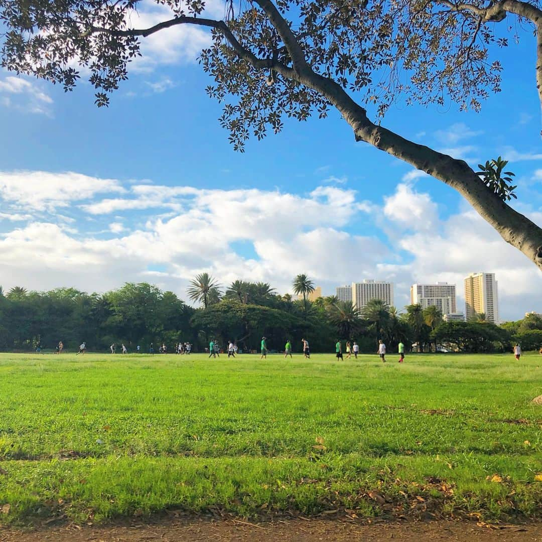 マキ・コニクソンさんのインスタグラム写真 - (マキ・コニクソンInstagram)「Good morning from Hawaii!今日はアメリカの祝日です。”Columbus Day” 1492年10月12日にクリストファー・コロンブスによるアメリカ大陸への発見および到着を祝う日です！🇺🇸 朝のワンズのお散歩は最高に気持ちが良いよ！🐩🐩 自分はこんな平和な所にいるけど世界のどこかで戦争してるんだよね。心から世界平和を願います。🙏🏻 今日もお互いハッピーな1日にしようね！楽しくなるも楽しくならないのも全て自分次第だからね！😊 #ハワイのおすそ分け🤙🏼 #Love & Peace ❤️&✌🏼」10月15日 6時01分 - makikonikson