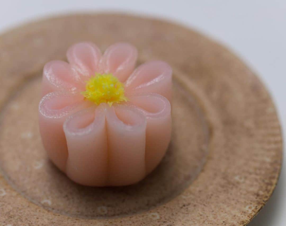 Toru Tsuchieのグルメインスタ