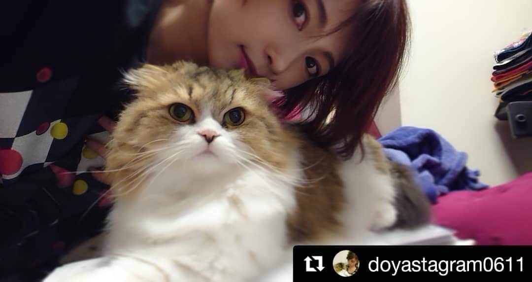 AYASAのインスタグラム