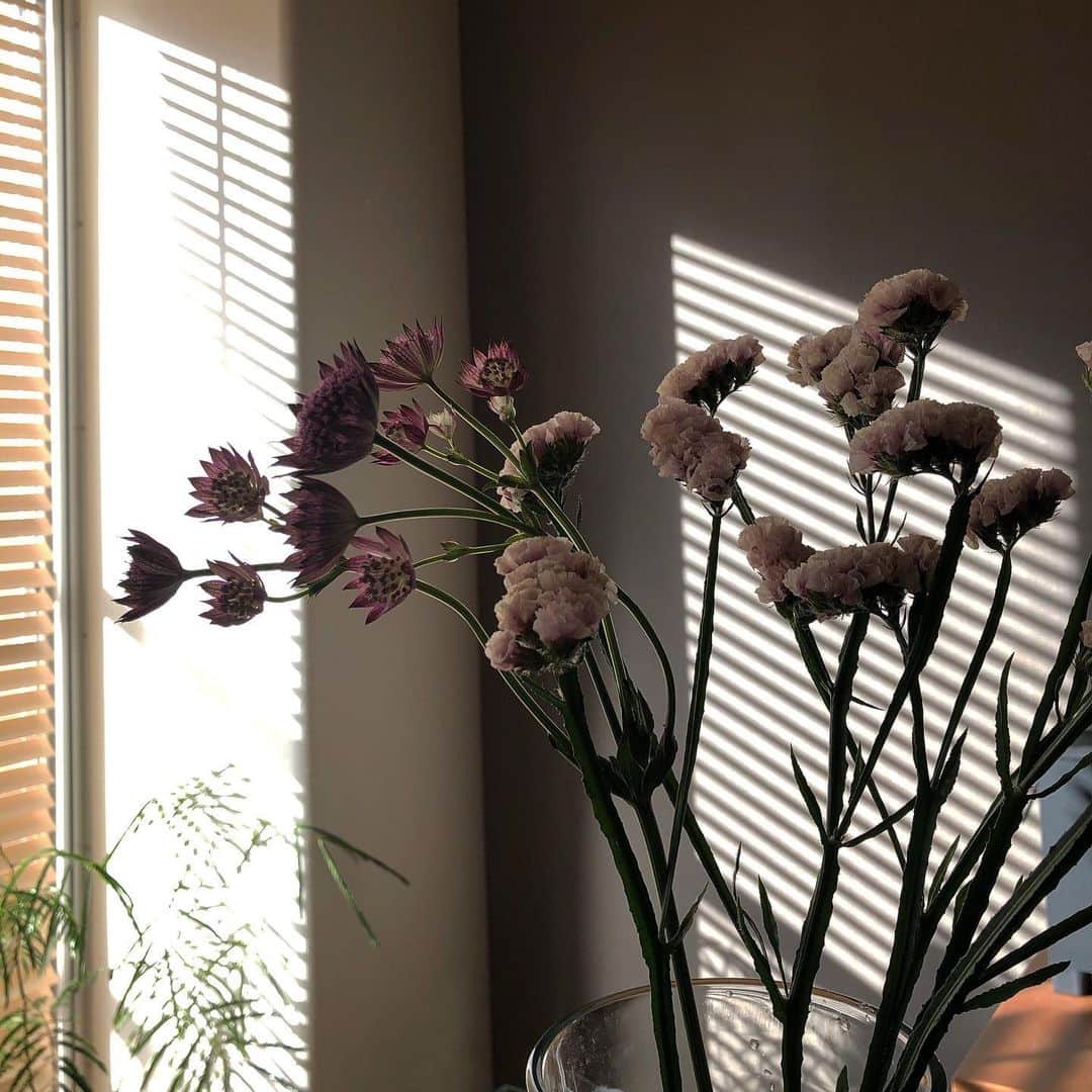 のインスタグラム：「good morning🌞 #muu__house」