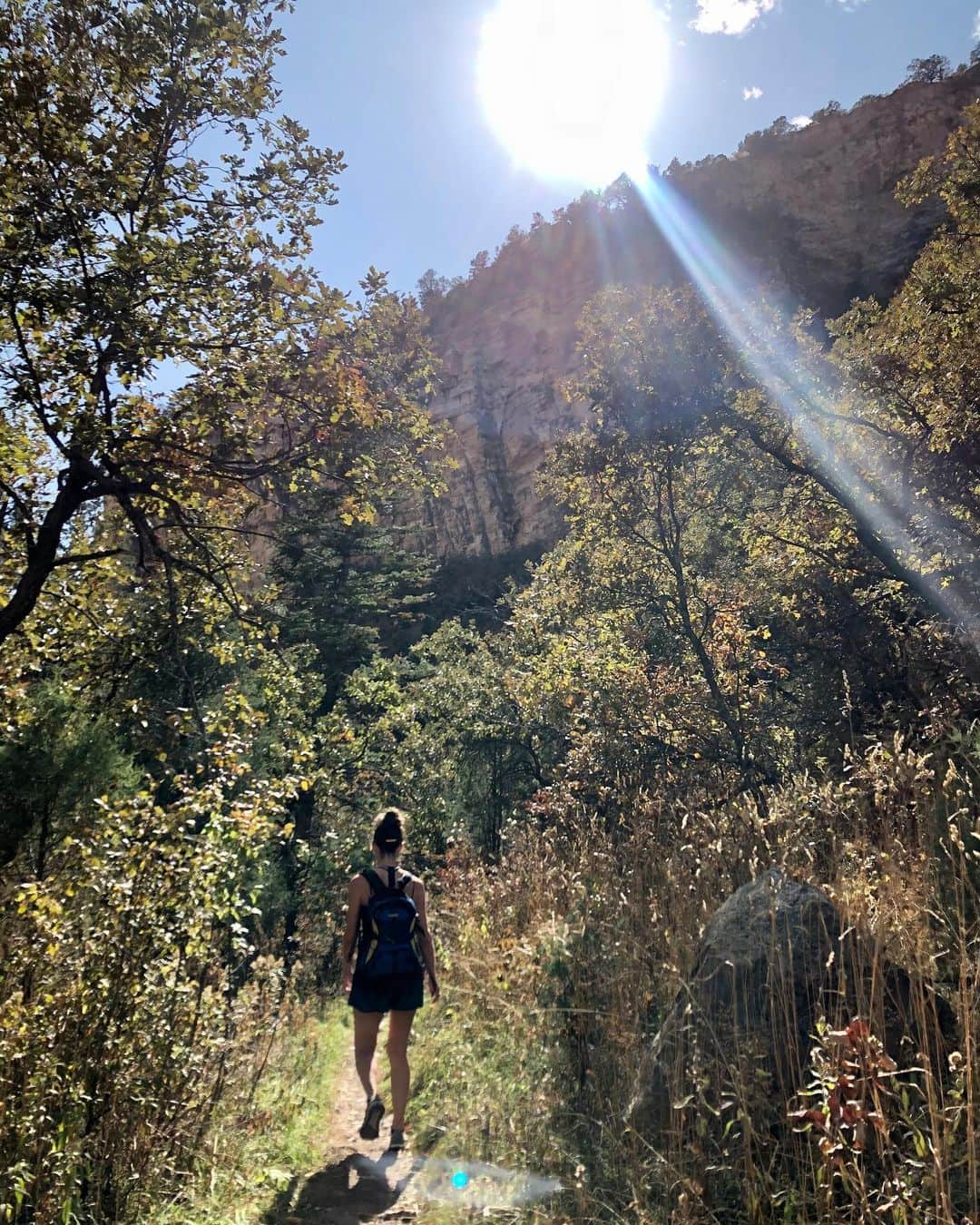アグネス・ザワツキーさんのインスタグラム写真 - (アグネス・ザワツキーInstagram)「Nothing like a lovely little hike with your favorite human being to rejuvenate the soul ✨⛰ 🍁  #mountains #happymonday  #ladythings #goddesses #falltime #naturetime #happysoul #beetle」10月15日 9時42分 - agnes_zawadzki