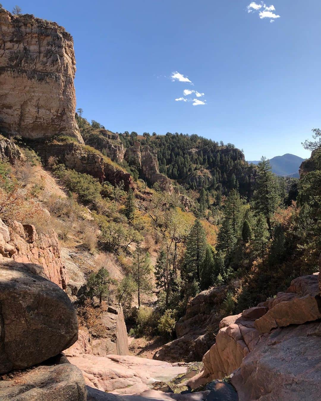 アグネス・ザワツキーのインスタグラム：「Nothing like a lovely little hike with your favorite human being to rejuvenate the soul ✨⛰ 🍁  #mountains #happymonday  #ladythings #goddesses #falltime #naturetime #happysoul #beetle」