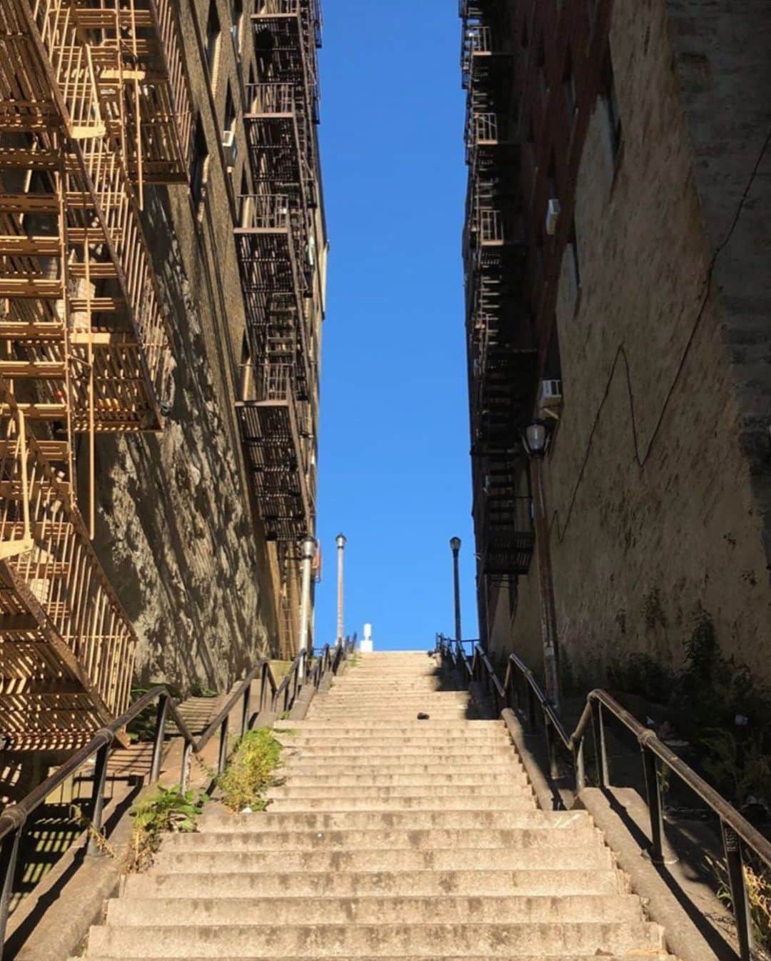 中村真里さんのインスタグラム写真 - (中村真里Instagram)「.﻿ この風景、見た瞬間すぐ分かった﻿ ついこの間行ったNYのBronx。﻿ 友達の家に行くゾって感じで歩いてたら﻿ この階段登ったら着くって言われて﻿ まじか。(ムリ、、)って話しながら登って﻿ ゴミしかないなこの階段って言いながら﻿ 降りたあの階段、、！😂﻿ ﻿ 撮影はすごく前だっただろうけど、﻿ タイムリー過ぎてビックリ。﻿ ﻿ そしてこの映画凄かった。﻿ 口あいてたと思う。色々と置き換えて﻿ 考えたりしてすごい疲れるけど﻿ 多分もっ回観る。﻿ ﻿」10月15日 10時07分 - _marinakamura_