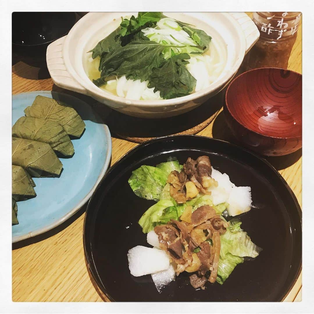 古谷恵のインスタグラム：「人が作ったもの食べるだけとか極楽。 そして大豆はかわいい #cat#猫#singapuracat#シンガプーラ#大豆#家飯」