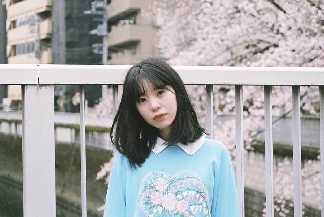 奥野香耶さんのインスタグラム写真 - (奥野香耶Instagram)「・ ・ photo(@158nkao ) #Japan #japanese #tokyo #flower #桜🌸 #2019 #フィルム」10月15日 21時56分 - _kayarea_