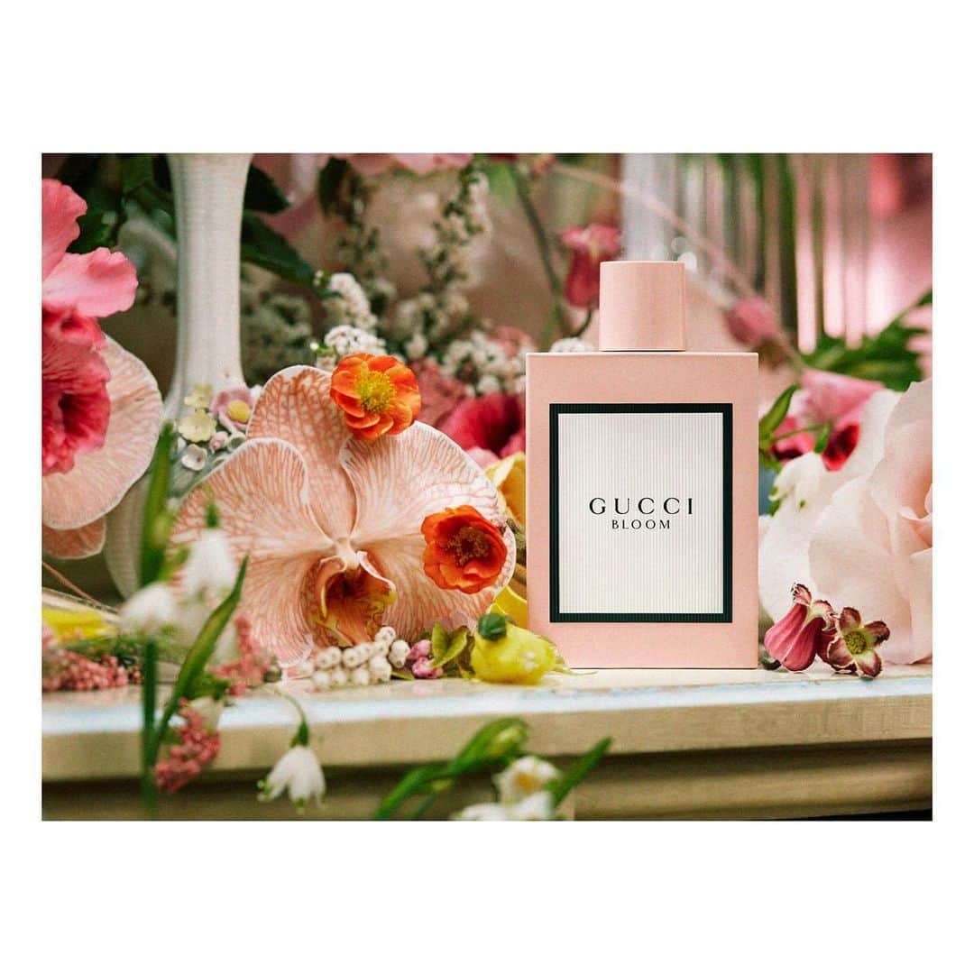 グッチさんのインスタグラム写真 - (グッチInstagram)「Created by @alessandro_michele, the @guccibeauty Gucci Bloom scents are inspired by the idea of absolute authenticity, the freedom to be who you are. The original #GucciBloom scent is blended with a trio of ingredients: Natural Tuberose absolute harvested from India is interlaced with Jasmine bud extract and Rangoon Creeper. Discover the fragrance through link in bio. #InBloom #GucciBeauty #AlessandroMichele」10月15日 22時00分 - gucci