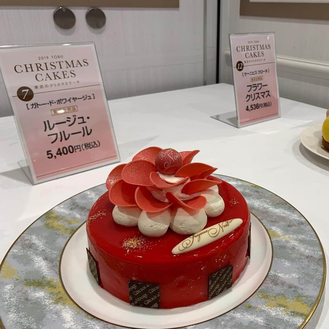 生田千秋さんのインスタグラム写真 - (生田千秋Instagram)「あと2ヶ月で12月ですね🎄🎁﻿ ﻿ 東武のクリスマスケーキ スペシャルテイスティングイベント 「2019 TOBU CHRISTMAS CAKES」にご招待頂きました🎂💖﻿ ﻿ 表紙を飾っている、ガトードボワイヤージュ様のルージュフルールの他に3種類試食しました！﻿ どれも美味しかったけど、私は、オッジ様のノワゼットショコラノエルが好きでした🥰﻿ 下がサクサクしたクレープ生地ですごく濃厚なチョコレートケーキでコーヒーとの相性も抜群でした❤️ワインとも相性がいいかも🍷✨﻿ ﻿ 今年のテーマはフラワーで、どれもデザインがすごく可愛かったです💐✨﻿ 少人数で食べやすいものから﻿ 大人数で食べるサイズのケーキも﻿ ありました！サイズが大きいと、より豪華でした😳✨﻿ パーティーとかに良さそう💝﻿ ﻿ ケーキ予約はスタートしてますよ！お早めに😊﻿ ﻿ ﻿ #池袋東武 #2019池袋東武クリスマスケーキ #クリスマスケーキ #christmascakes #スイーツ #池袋」10月15日 13時19分 - maechi_0815