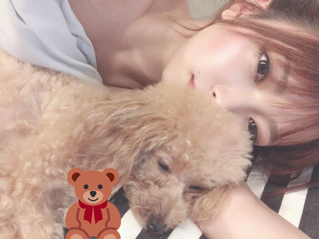 藤田恵名さんのインスタグラム写真 藤田恵名instagram あなたは昔言いました 目覚めれば枕元には素敵な プレゼントが置いてあるよと 髪を撫でながら 携帯小説で Teddy Bear 読んでた人は世代一緒 10月15日 14時07分 Enamelchan