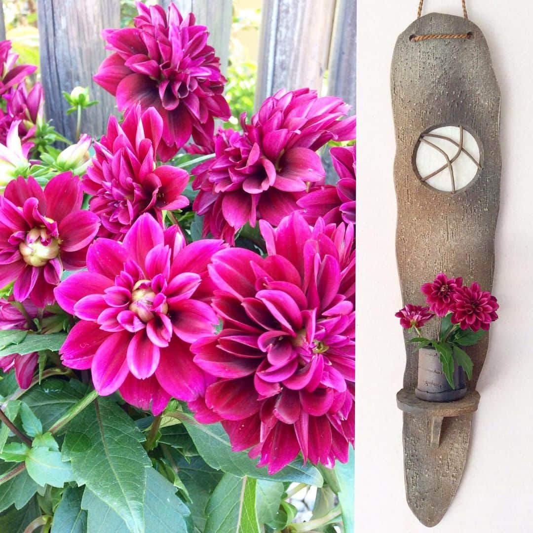 祥吉のグルメインスタ