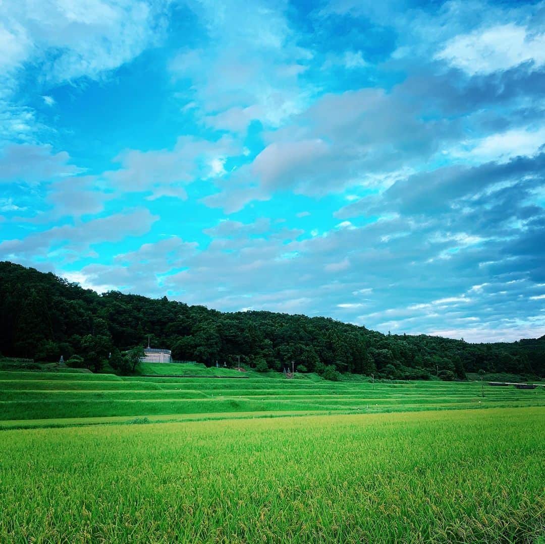 みはとのインスタグラム：「【出演情報】 富山県のお米「富富富」のTVCMに 木村文乃さんの友人役で出演させていただいております。 ・ YouTubeでも見ることができます💓 ・ youtube.com/watch?v=WHQrnt… ・ ・ 友人達から見たよーとたくさん連絡が来ていて嬉しい限りです☺️ ・ 富山とってもステキな所でした💕 ロケの時のお弁当に富富富が使われていて、とっても美味しかったので是非食べてみてくださいね✨ ・ #富山 #お米 #富富富 #CM #みはと」