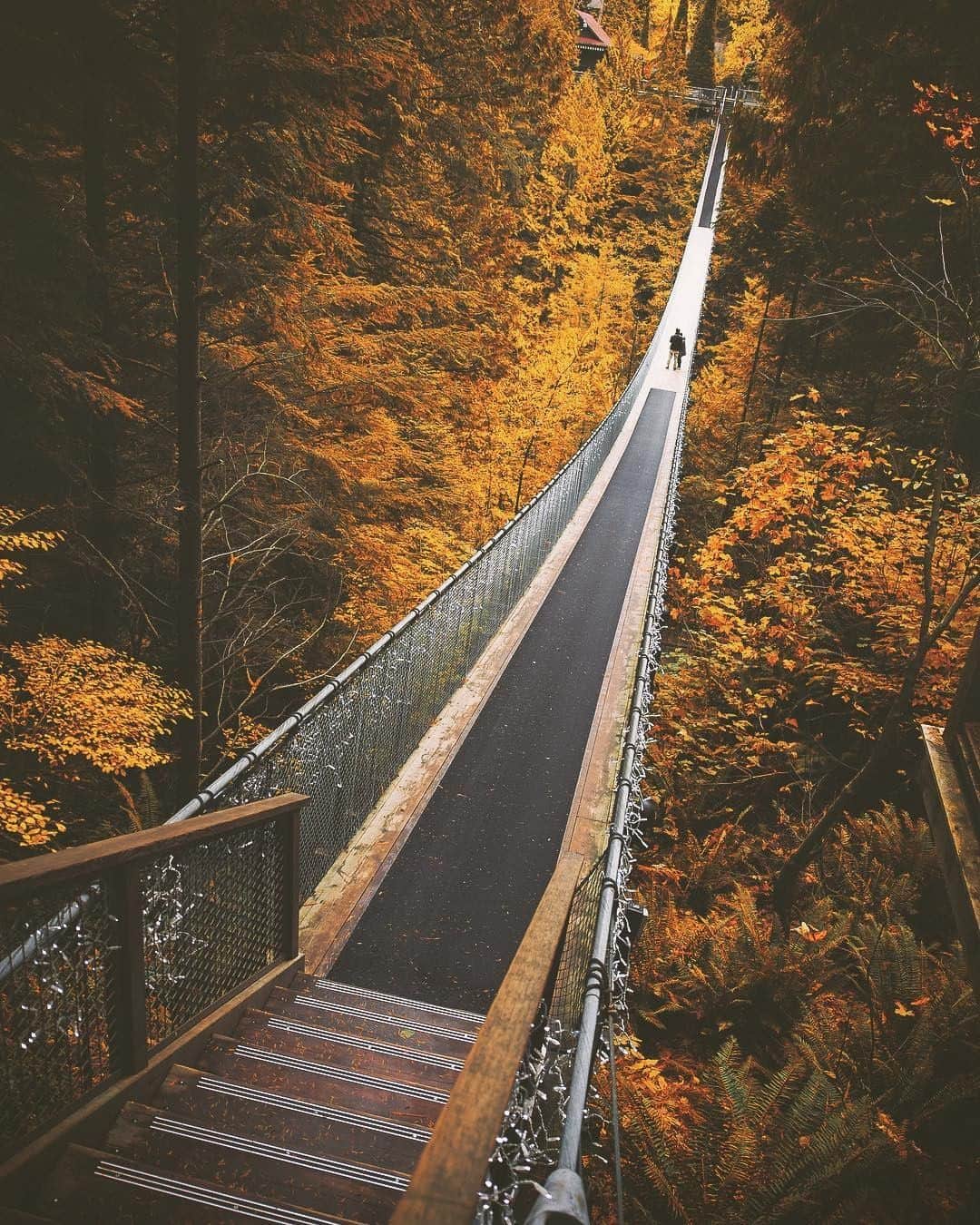 JALさんのインスタグラム写真 - (JALInstagram)「. The changing maple leaves envelope a suspension bridge in Vancouver. Take a walk among the stunning colors until mid-November! 🍂 #UncommonOctober . バンクーバーではメープルの葉が色づき間もなく見頃🍁 11月中旬までがオススメです 🍂 . . photo by @flyzone Post your memories with #FlyJAL . #JapanAirlines #canada #vancouver #autumnleaves」10月15日 17時29分 - japanairlines_jal