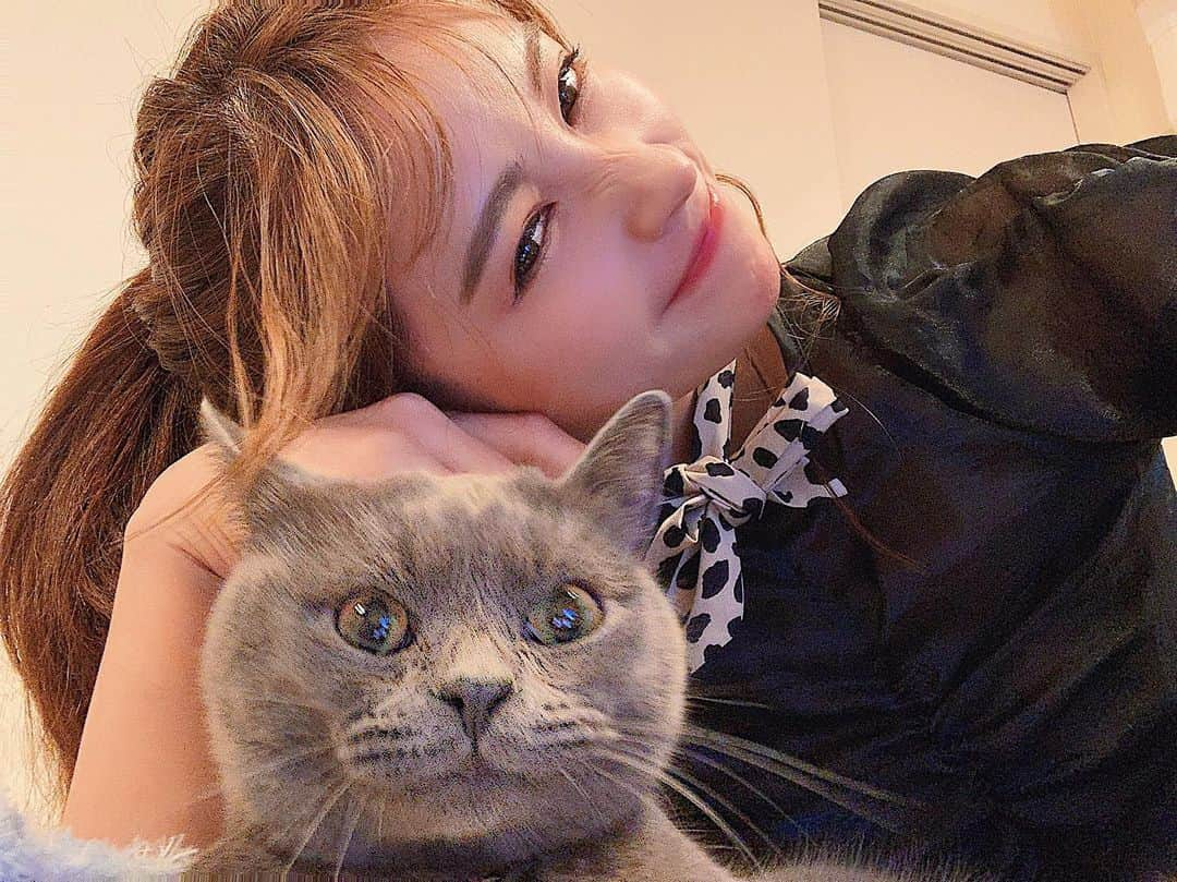 得あゆさんのインスタグラム写真 - (得あゆInstagram)「落ち着きのない2人👱🏻‍♀️🐈💋 ぼくちゃん全ての写真ブレブレでした。笑 ・ 位置情報シンバがあったので付けてみました🐈 ・ ・ ・ ・ ・ ・ ・ ・ #シンバ#猫#ねこ#ネコ#マンチカン#ライオンキング#ねこすたぐらむ#ねこと暮らす#ねこのきもち#可愛い#ペット#ツーショット#彼氏#ラブラブ#秋#秋服#ナチュラルメイク#ヘアスタイル#ヘアアレンジ#デート#おうち#お洒落#写真#家族#cat#catstagram#munchkin#pet#japanesegirl#family」10月15日 17時42分 - tokuayu819