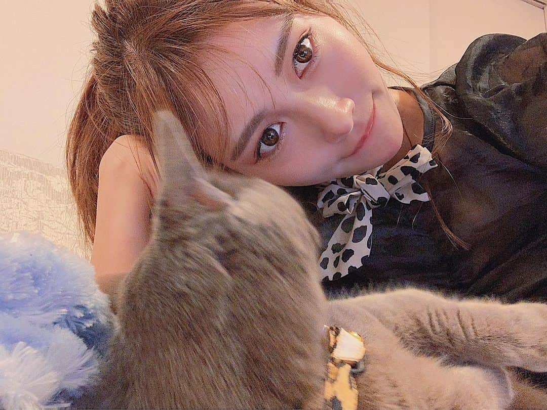 得あゆさんのインスタグラム写真 - (得あゆInstagram)「落ち着きのない2人👱🏻‍♀️🐈💋 ぼくちゃん全ての写真ブレブレでした。笑 ・ 位置情報シンバがあったので付けてみました🐈 ・ ・ ・ ・ ・ ・ ・ ・ #シンバ#猫#ねこ#ネコ#マンチカン#ライオンキング#ねこすたぐらむ#ねこと暮らす#ねこのきもち#可愛い#ペット#ツーショット#彼氏#ラブラブ#秋#秋服#ナチュラルメイク#ヘアスタイル#ヘアアレンジ#デート#おうち#お洒落#写真#家族#cat#catstagram#munchkin#pet#japanesegirl#family」10月15日 17時42分 - tokuayu819