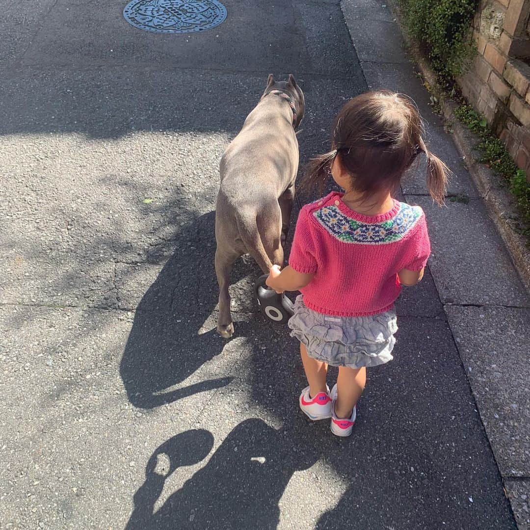 鈴木六夏さんのインスタグラム写真 - (鈴木六夏Instagram)「心落ち着かない週末でした。 私の近しい人達も、 避難したり被害に遭われたり。。 大変だった方も多かったかと思います。  悲観的にはならないでいたいと思っていますが、 色々なことを考えさせられる出来事が多いですね。 今日があることに本当に感謝しつつ、 自然のこと、生き方のこと、 自分たちが無事ならよかった。では済まない年齢になってきている今、出来ることはなんなのか、本当に考えます。  １日も早い復旧と、 この先の穏やかな日常を願います。」10月15日 18時10分 - rikuka.62