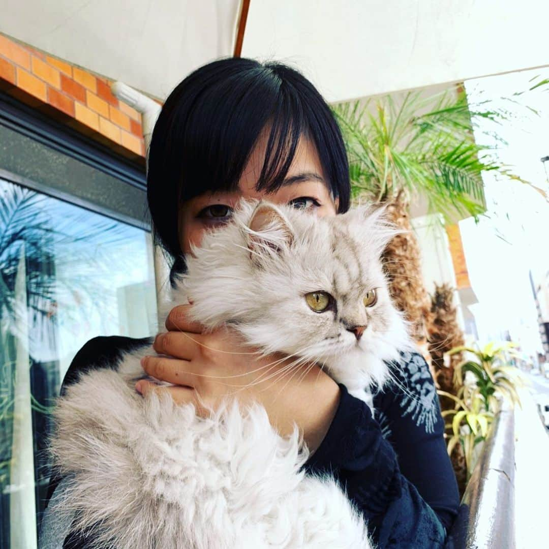 SATOKOさんのインスタグラム写真 - (SATOKOInstagram)「台風の影響で普通の暮らしがままならない方に心からお見舞い申し上げます。あなたの1日が少しでもいい日になりますように。あったかいごはんが食べれてますように。」10月15日 18時23分 - fc_satoko