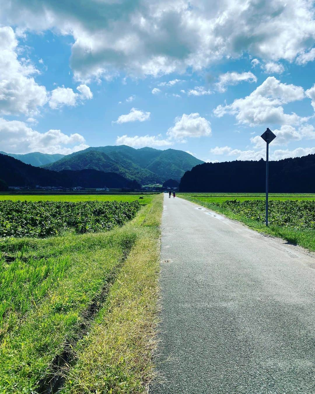 鈴木奈々さんのインスタグラム写真 - (鈴木奈々Instagram)「今回の台風で被害に遭われた方々、 心よりお見舞い申し上げます。 被災された方々の生活が一日も早く元に戻りますように、心より願っております。 私の地元茨城県でも大きな被害がありました。 沢山の方が不安な日々を過ごされています。 みなさまが少しでも早く元の生活に戻れるよう、 私もできることを全力で頑張りたいと思います。 私は、台風の日は仕事でした。 茨城県に帰る電車は運休していたので、 加藤茶さん夫婦のお家にいさせていただきました。 台風で家には帰れなかったので、 加藤茶さん夫婦に助けられました。 本当に本当に感謝してます。  一日も早い復旧を、 心よりお祈り申し上げます。 #台風19号」10月15日 19時03分 - nana_suzuki79