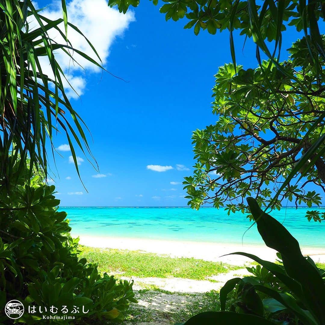 HAIMURUBUSHI はいむるぶしさんのインスタグラム写真 - (HAIMURUBUSHI はいむるぶしInstagram)「亜熱帯のジャングルを抜けると、そこは南海の楽園… 10月も八重山ブルーの海を満喫できます。 #沖縄 #八重山諸島 #砂浜 #ビーチ #サンゴ礁 #小浜島 #リゾート #ホテル #はいむるぶし #japan #okinawa #yaeyamaislands #whitebeach #bluesea #kohamajima #beachresort #haimurubushi」10月15日 19時07分 - haimurubushi_resorts