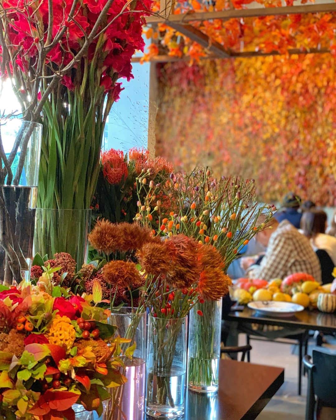 蓼沼綾さんのインスタグラム写真 - (蓼沼綾Instagram)「🎃🥪🍇🍠🎃 ^_^ いさこ姫とLUNCH mtg👸 ・ 季節を感じさせてくれるアート。 お野菜いっぱいヘルシーご飯。 秋の味覚サーモンも🐟❤️ ・ こうして今日もささやかな時間を 過ごせて本当に幸せなことですね。 台風の被害に遭われた地域の皆様、 どうか一日も早く穏やかな日常が取り戻せますように。 ・ ・ #ニコライバーグマンカフェ #nicolaibergmann #東京カフェ #表参道カフェ #南青山カフェ #カチューシャアレンジ #tshirtlife #白tコーデ #白t #パールピアス #東京カフェ巡り #halloween #ハロウィン2019 #instafashion #instastyle #ootd #패션 #카페투어 #인스타푸드 #오오티디」10月15日 19時13分 - tadeaya
