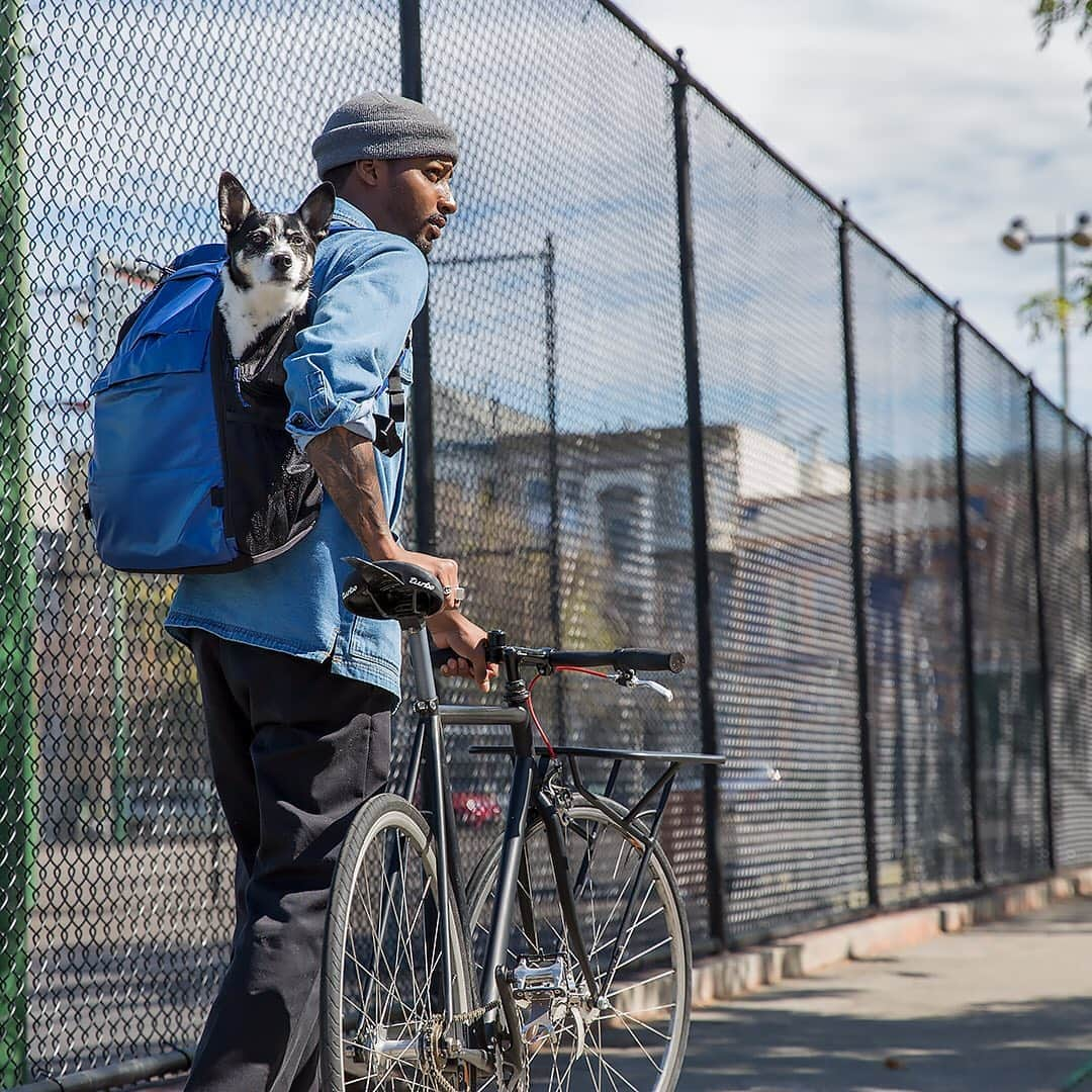 timbuk2さんのインスタグラム写真 - (timbuk2Instagram)「Muttmover Light マットムーバーライト  マットムーバーライトは、メイン収納部に愛犬をのせて、背負うことができるバックパック。 両手があくバックパックタイプなので、もしものときの避難行動も邪魔しません。 ・ #timbuk2.jp #timbuk2 #ティンバック2 #バックパック #backpack #ペット #pet #lifestyle #ライフスタイル #muttmover #マットムーバー #クレート #ペットキャリー #サイクリング #東京 #tokyo」10月15日 19時26分 - timbuk2.jp